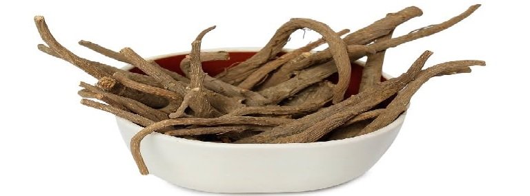 Akarkara-Root-Exporters-From-India