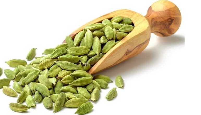 Export Quality Green Cardamom From India