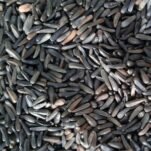 Niger-Seeds