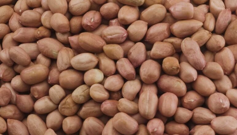 Peanut-Exporters-From-India