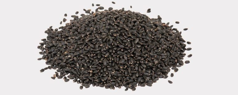 Basil Seeds Premium Quality Exporters And Suppliers From India