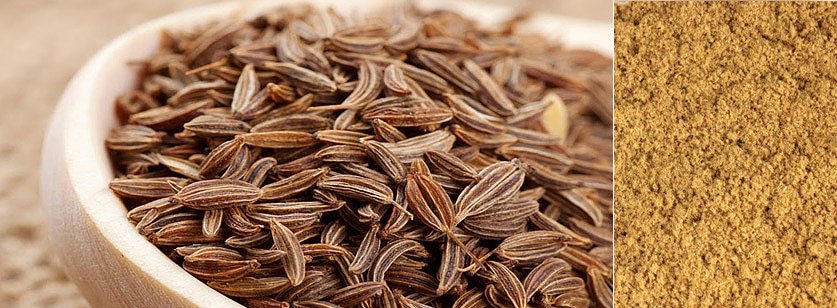 Cumin Seeds & Powder - Kinal Global Care Private Limited