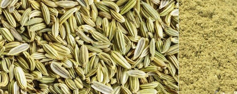 fennel-seeds-big