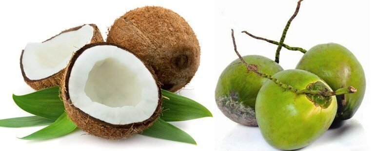 fresh-coconuts-big