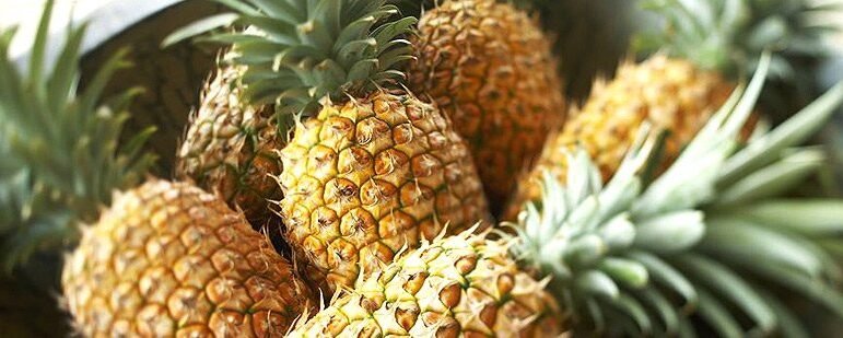 pineapple-big